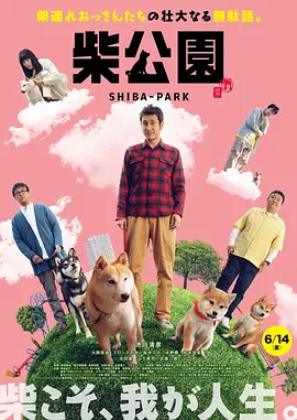 清晰在线播放观看