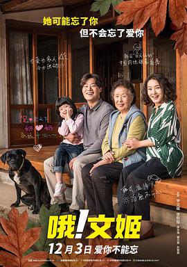 1080HD手机在线观看