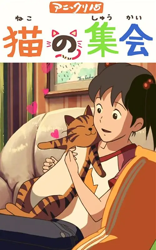 全集免费观看超清