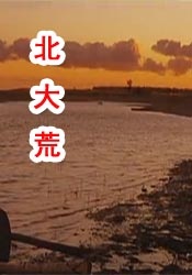 粤语中字在线观看